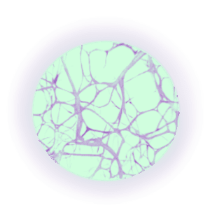 Regeneration; Subconscious in each cell